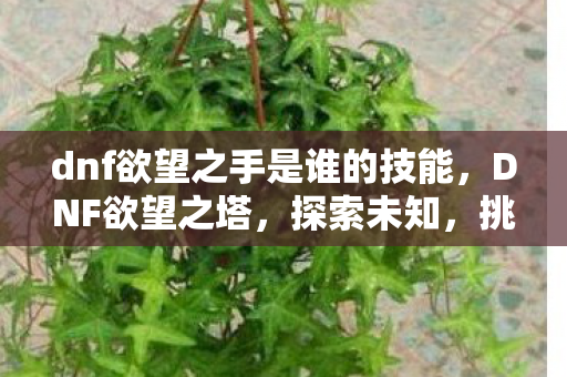 dnf欲望之手是谁的技能，DNF欲望之塔，探索未知，挑战极限