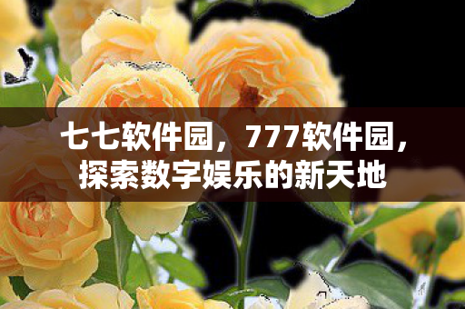 七七软件园,777软件园,探索数字娱乐的新天地 七七软件园,777软件园,探索数字娱乐的新天地