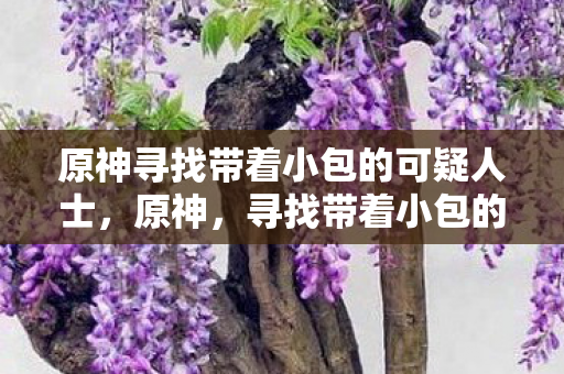 原神寻找带着小包的可疑人士，原神，寻找带着小包的可疑人士