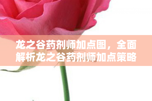 龙之谷药剂师加点图，全面解析龙之谷药剂师加点策略，掌握技能，成为顶尖玩家