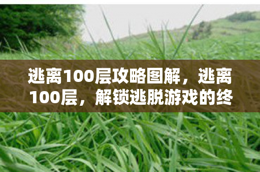 逃离100层攻略图解，逃离100层，解锁逃脱游戏的终极挑战
