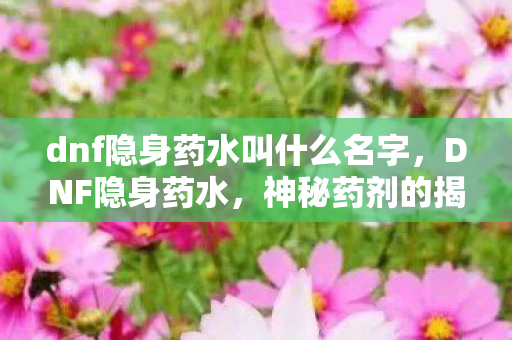dnf隐身药水叫什么名字,DNF隐身药水,神秘药剂的揭秘 dnf隐身药水叫什么名字,DNF隐身药水,神秘药剂的揭秘