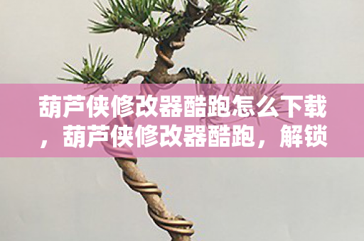 葫芦侠修改器酷跑怎么下载，葫芦侠修改器酷跑，解锁游戏新境界的利器