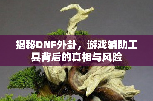 揭秘DNF外卦，游戏辅助工具背后的真相与风险