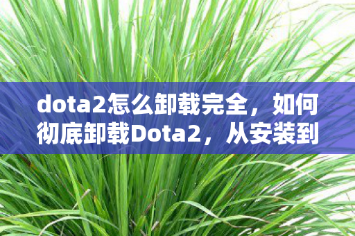 dota2怎么卸载完全，如何彻底卸载Dota2，从安装到清理的详细指南