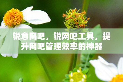 锐意网吧，锐网吧工具，提升网吧管理效率的神器