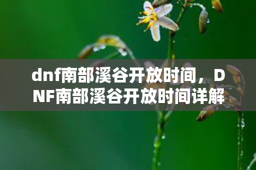 dnf南部溪谷开放时间，DNF南部溪谷开放时间详解
