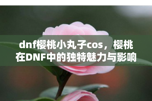dnf樱桃小丸子cos，樱桃在DNF中的独特魅力与影响