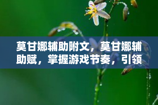 莫甘娜辅助附文，莫甘娜辅助赋，掌握游戏节奏，引领胜利之路