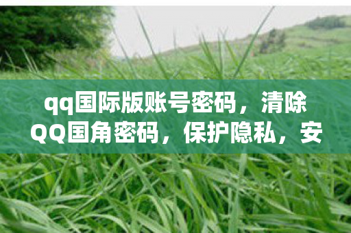 qq国际版账号密码，清除QQ国角密码，保护隐私，安全上网