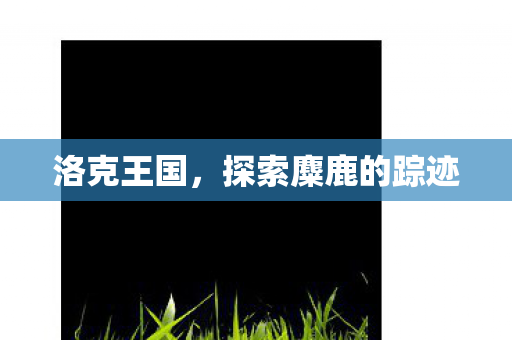 洛克王国，探索麋鹿的踪迹