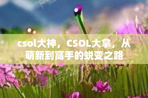 csol大神,CSOL大拿,从萌新到高手的蜕变之路 csol大神,CSOL大拿,从萌新到高手的蜕变之路