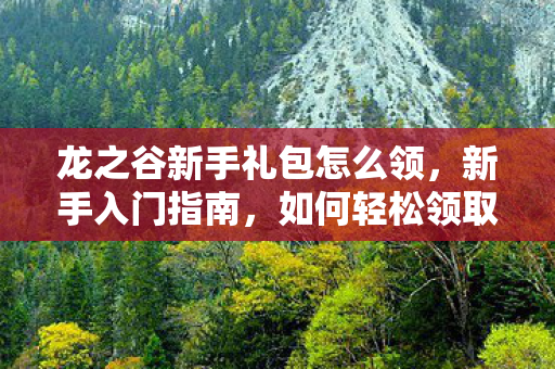 龙之谷新手礼包怎么领，新手入门指南，如何轻松领取龙之谷新手卡