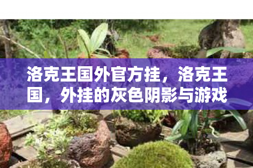 洛克王国外官方挂，洛克王国，外挂的灰色阴影与游戏公平性的探讨