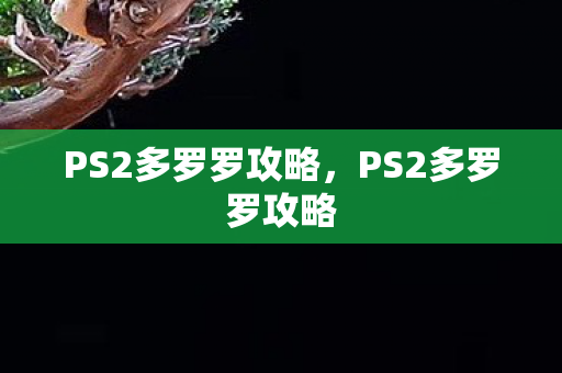 PS2多罗罗攻略图片