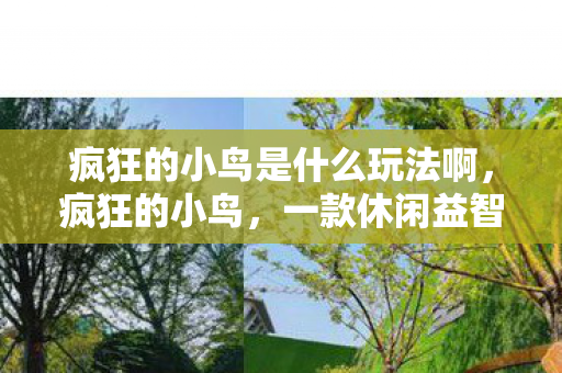疯狂的小鸟是什么玩法啊，疯狂的小鸟，一款休闲益智游戏的独特玩法解析