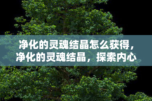 净化的灵魂结晶怎么获得，净化的灵魂结晶，探索内心的纯净与成长