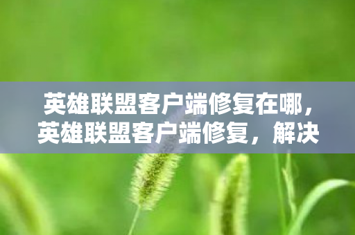 英雄联盟客户端修复在哪，英雄联盟客户端修复，解决游戏卡顿与闪退的终极指南