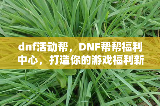 dnf活动帮,DNF帮帮福利中心,打造你的游戏福利新选择 dnf活动帮,DNF帮帮福利中心,打造你的游戏福利新选择