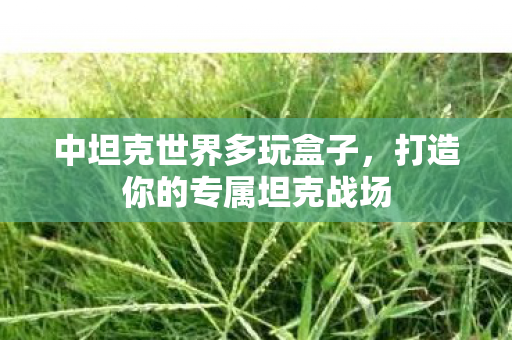 中坦克世界多玩盒子，打造你的专属坦克战场