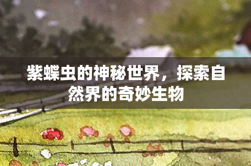 紫蝶虫的神秘世界，探索自然界的奇妙生物