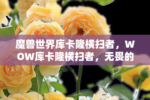 魔兽世界库卡隆横扫者，WOW库卡隆横扫者，无畏的战士，无畏的传奇