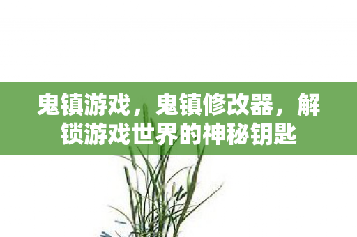 鬼镇游戏，鬼镇修改器，解锁游戏世界的神秘钥匙