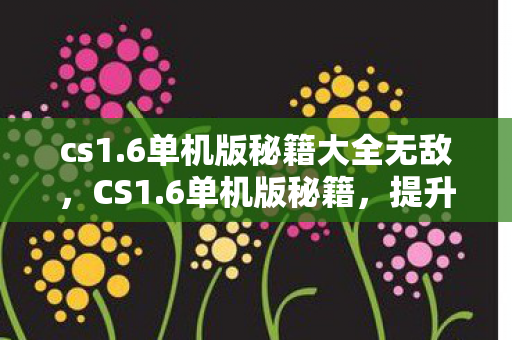 cs1.6单机版秘籍大全无敌，CS1.6单机版秘籍，提升游戏技巧与体验的全面指南