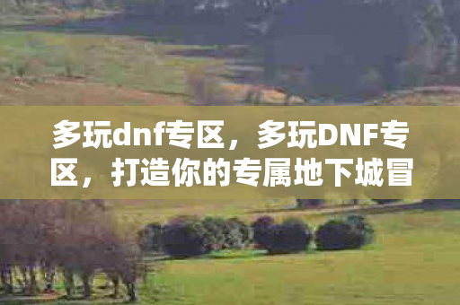 多玩dnf专区，多玩DNF专区，打造你的专属地下城冒险之旅