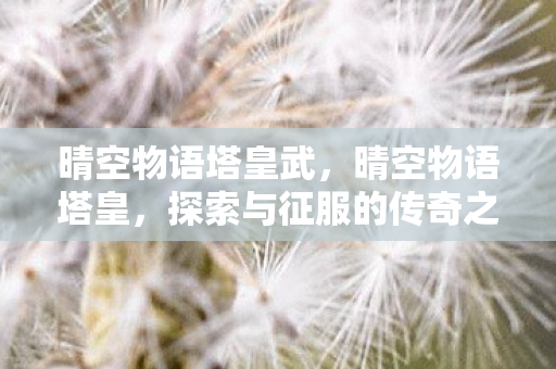 晴空物语塔皇武，晴空物语塔皇，探索与征服的传奇之旅