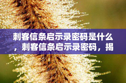 刺客信条启示录密码是什么，刺客信条启示录密码，揭秘古老符号与现代科技的交汇