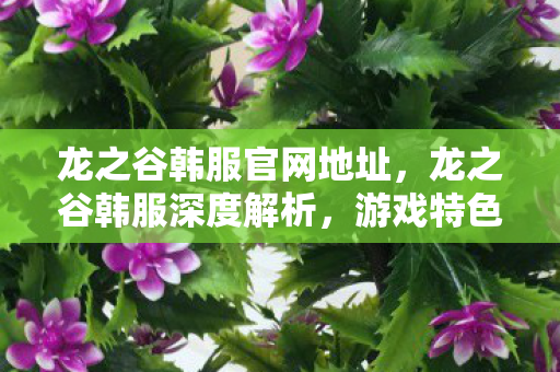 龙之谷韩服官网地址，龙之谷韩服深度解析，游戏特色与独特魅力