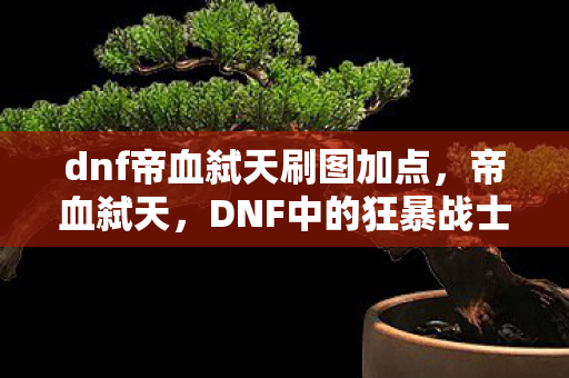 dnf帝血弑天刷图加点，帝血弑天，DNF中的狂暴战士传奇