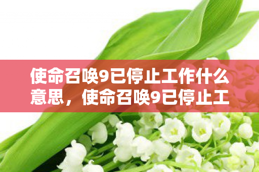 使命召唤9已停止工作什么意思,使命召唤9已停止工作,解决游戏崩溃的实用指南 使命召唤9已停止工作什么意思,使命召唤9已停止工作,解决游戏崩溃的实用指南