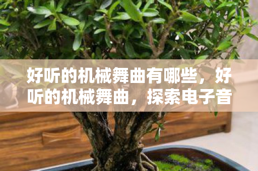 好听的机械舞曲有哪些，好听的机械舞曲，探索电子音乐中的机械韵律