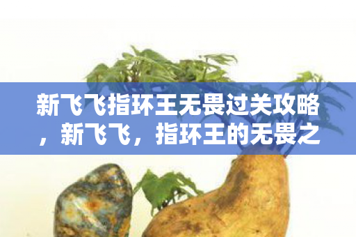 新飞飞指环王无畏过关攻略，新飞飞，指环王的无畏之旅