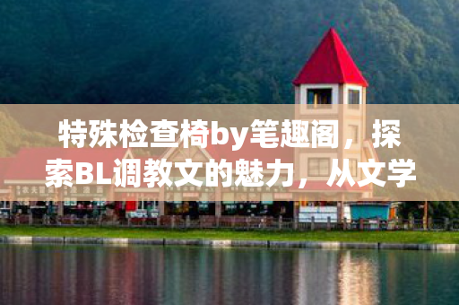 特殊检查椅by笔趣阁，探索BL调教文的魅力，从文学到艺术的独特旅程