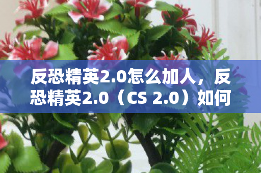 反恐精英2.0怎么加人,反恐精英2.0(CS 2.0)如何添加好友与组队 反恐精英2.0怎么加人,反恐精英2.0(CS 2.0)如何添加好友与组队