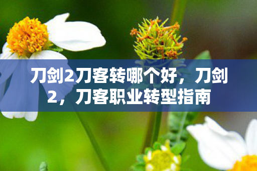 刀剑2刀客转哪个好，刀剑2，刀客职业转型指南