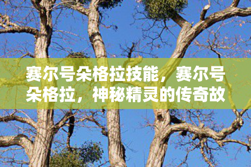 赛尔号朵格拉技能,赛尔号朵格拉,神秘精灵的传奇故事 赛尔号朵格拉技能,赛尔号朵格拉,神秘精灵的传奇故事