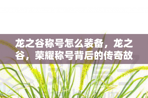龙之谷称号怎么装备，龙之谷，荣耀称号背后的传奇故事