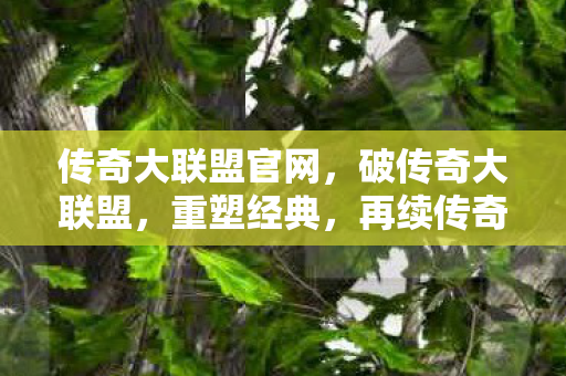 传奇大联盟官网,破传奇大联盟,重塑经典,再续传奇 传奇大联盟官网,破传奇大联盟,重塑经典,再续传奇