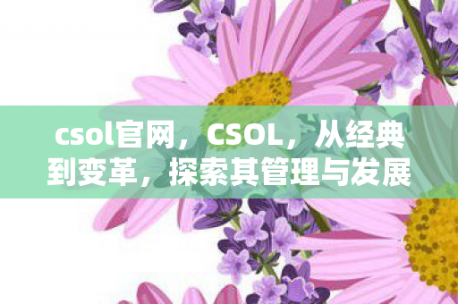 csol官网，CSOL，从经典到变革，探索其管理与发展之路