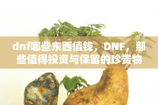 dnf哪些东西值钱,DNF,那些值得投资与保留的珍贵物品 dnf哪些东西值钱,DNF,那些值得投资与保留的珍贵物品