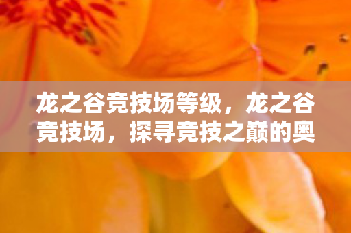 龙之谷竞技场等级，龙之谷竞技场，探寻竞技之巅的奥秘