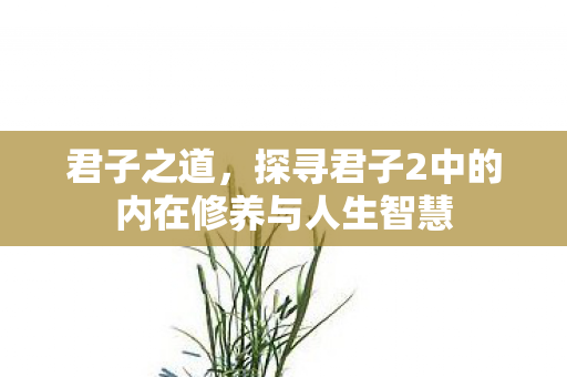 君子之道,探寻君子2中的内在修养与人生智慧 君子之道,探寻君子2中的内在修养与人生智慧