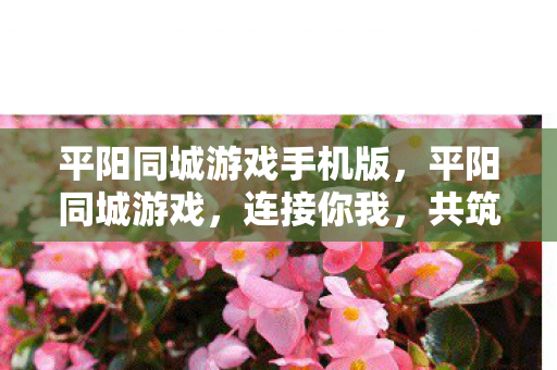 平阳同城游戏手机版，平阳同城游戏，连接你我，共筑欢乐桥梁