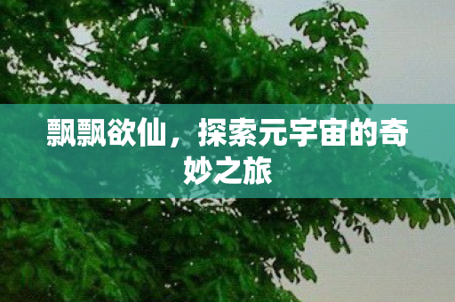 飘飘欲仙，探索元宇宙的奇妙之旅