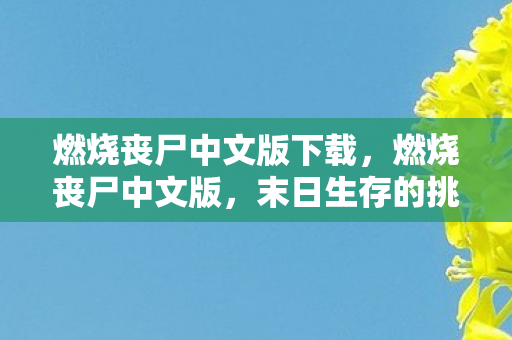 燃烧丧尸中文版下载，燃烧丧尸中文版，末日生存的挑战与希望