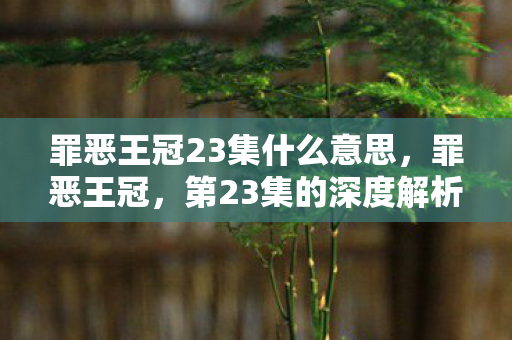 罪恶王冠23集什么意思，罪恶王冠，第23集的深度解析